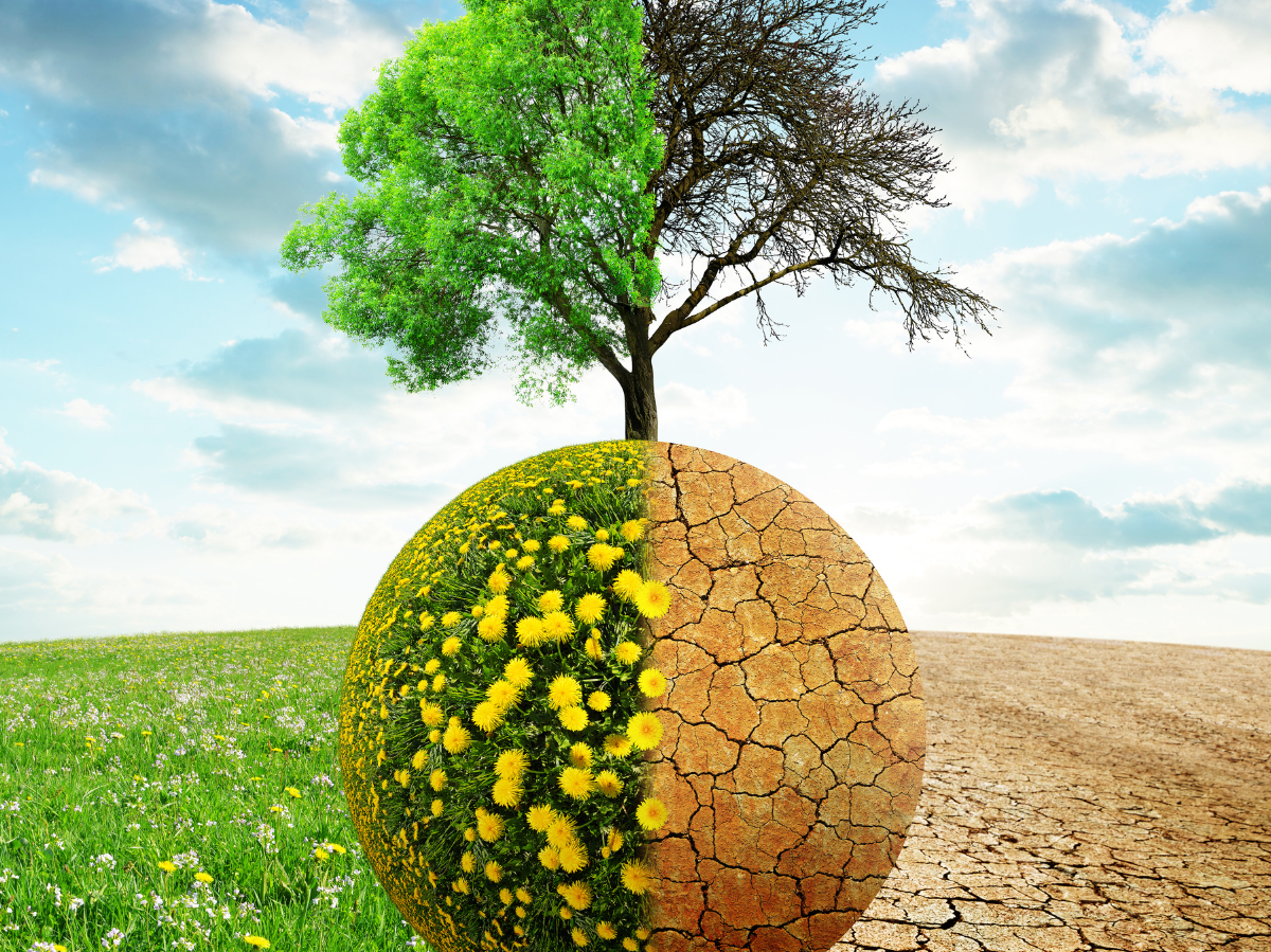 Kinder als Klima-Pioniere: Wie die nächste Generation für Gerechtigkeit und Demokratie kämpft