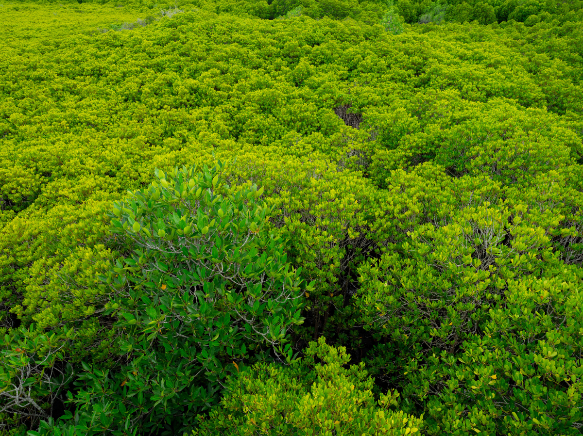 Walzenfahrer:in (m/w/d) im regionalen Asphalteinbau