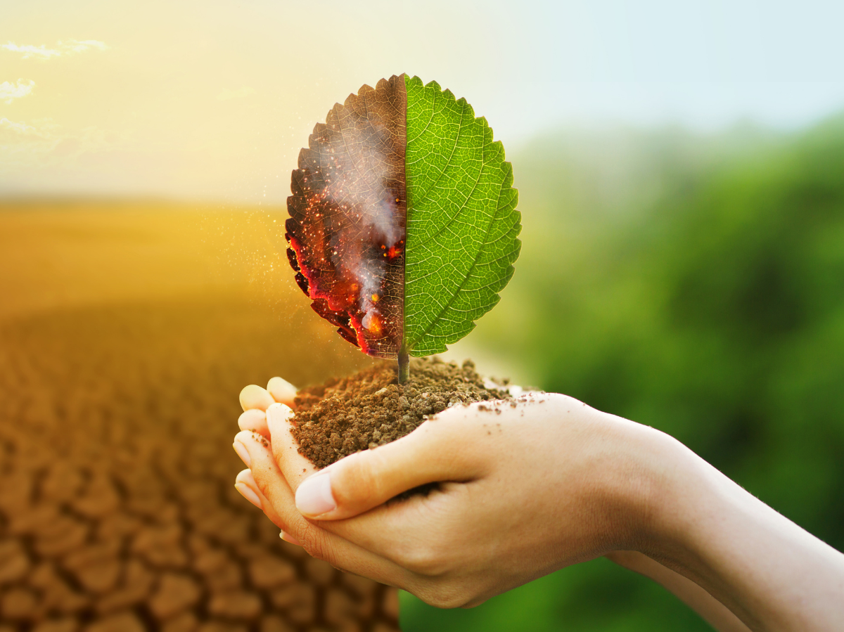 Ausbildung 2026 zum Industrie-Isolierer (m/w/d)